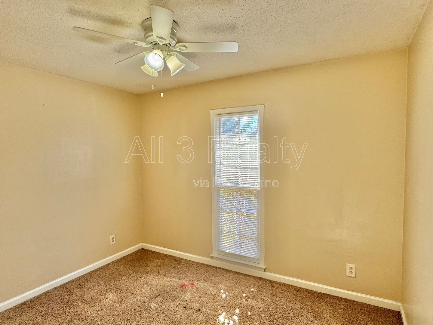 Adorable 3-bedroom!! property image