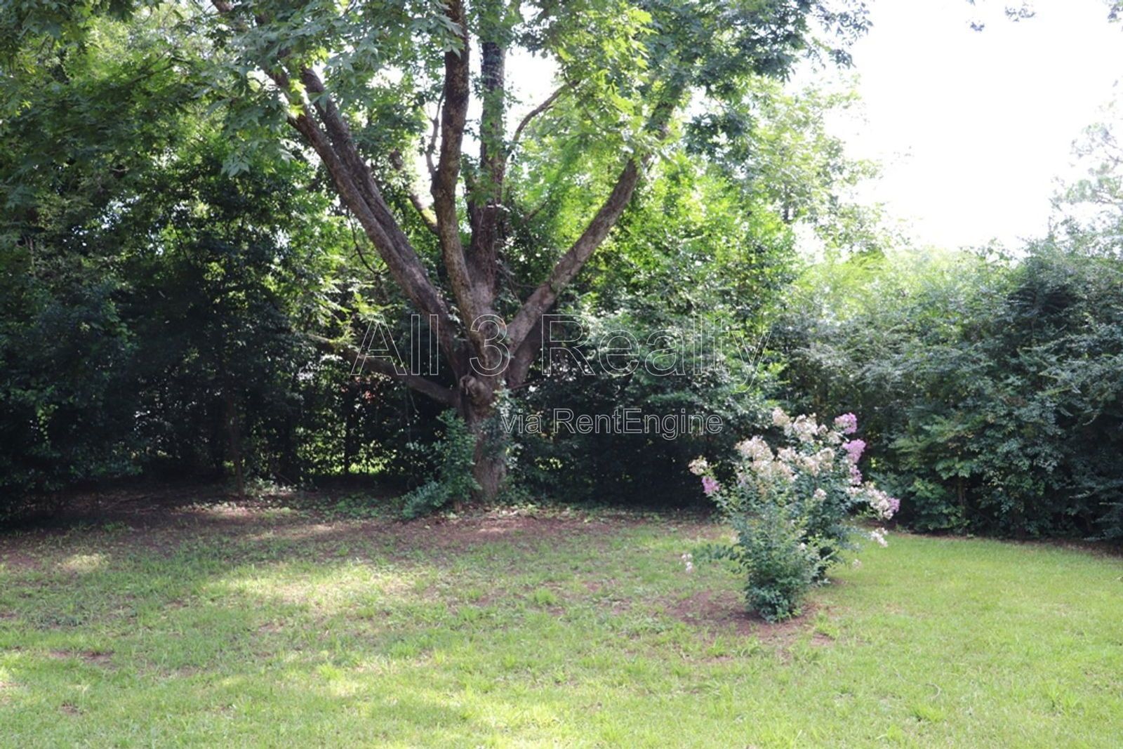 3-Bedroom thats move-in ready and just waiting for you. property image