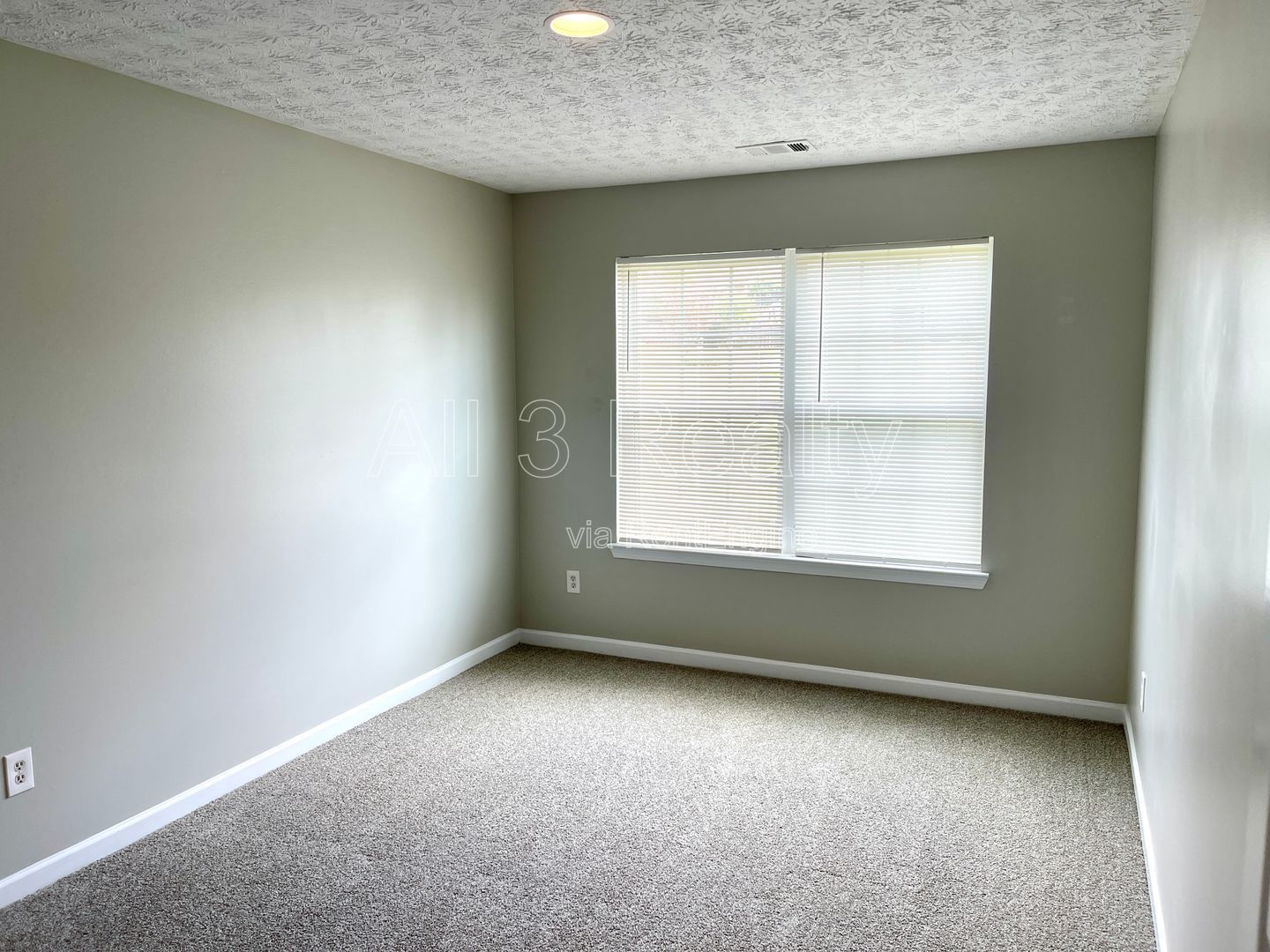 Welcome to this charming 4-bedroom, 2.5-bathroom home in Palmetto, GA. property image