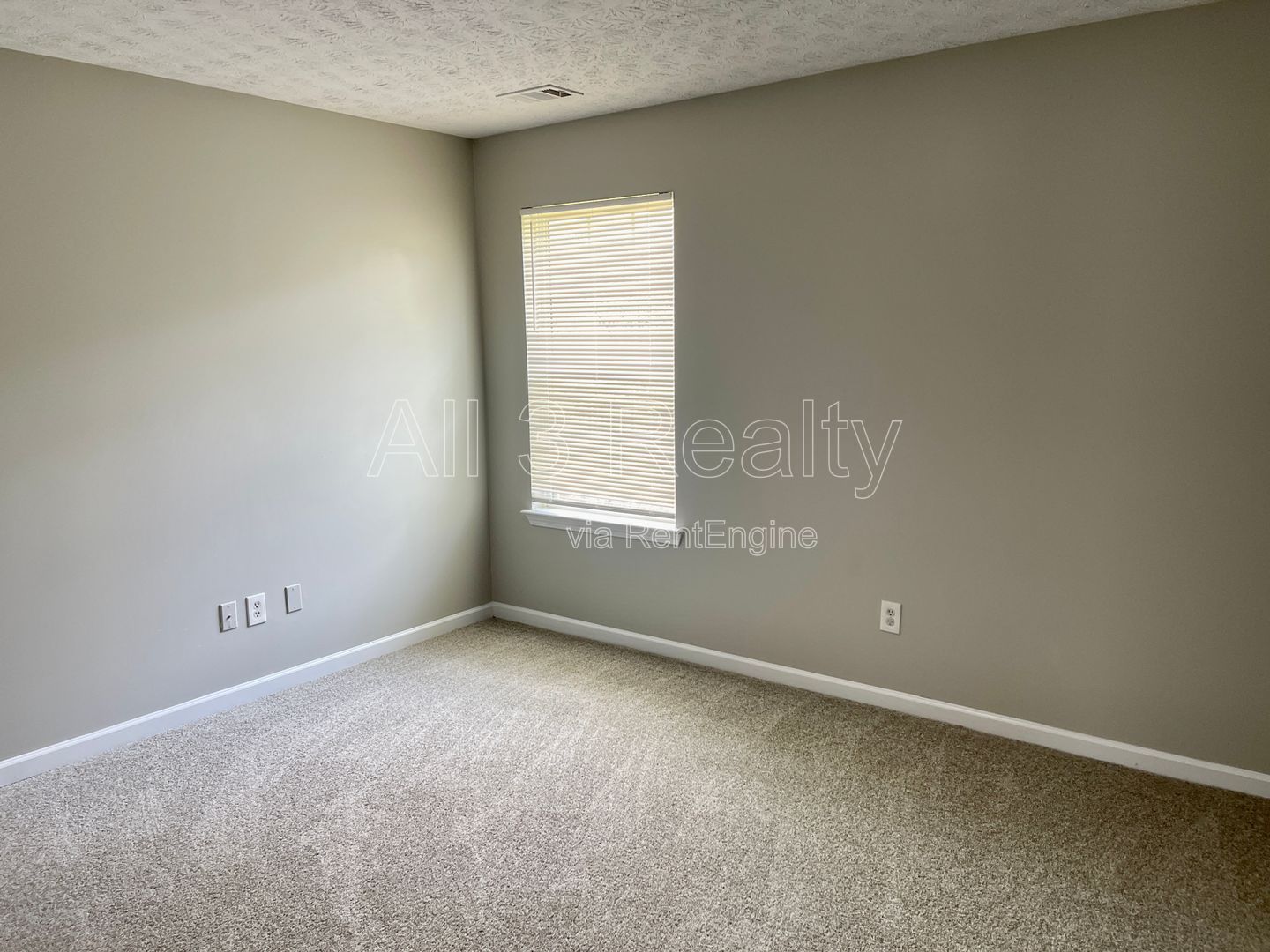 Welcome to this charming 4-bedroom, 2.5-bathroom home in Palmetto, GA. property image
