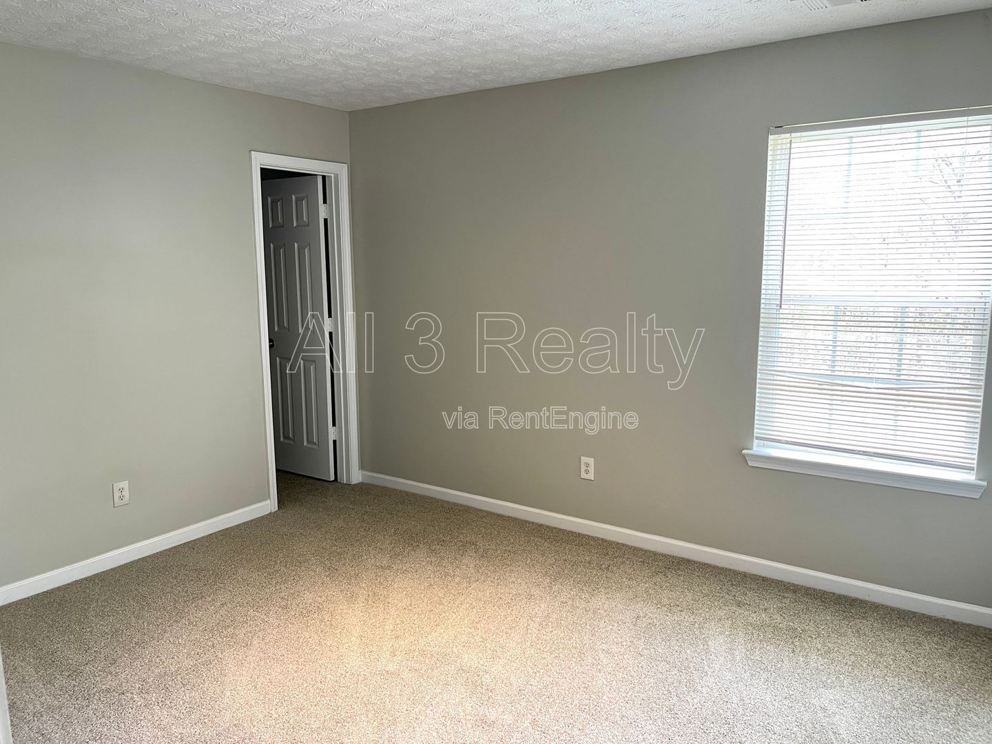 Welcome to this charming 4-bedroom, 2.5-bathroom home in Palmetto, GA. property image
