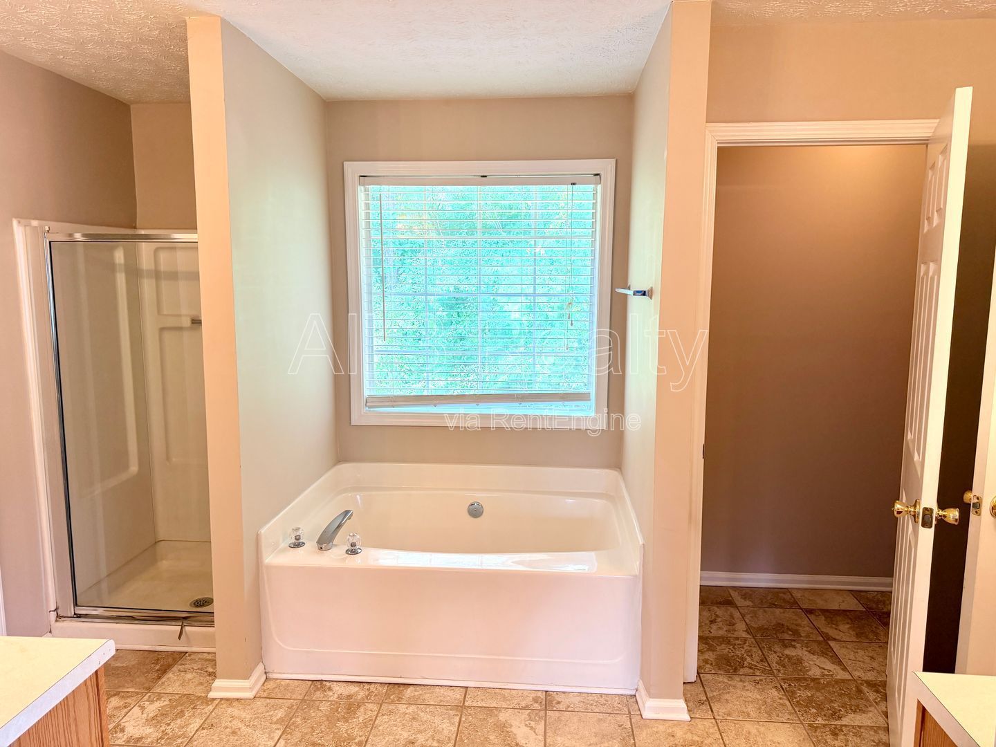 Charming 3-bedroom, 2.5-bath home in Lithonia, GA featuring a cozy fireplace and ceiling fans throughout. property image